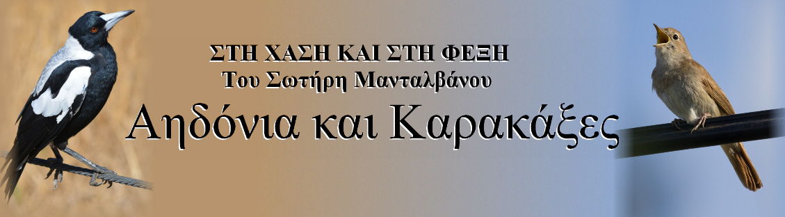 Αηδόνια και Καρακάξες Του Σωτήρη Μανταλβάνου