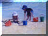 Fun at the beachSMALL.jpg (22847 bytes)