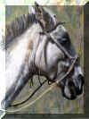 It's a donkey.jpg (35765 bytes)